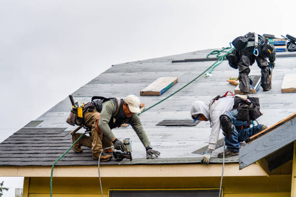 Professional Roof Installation technician working in Almont, CO